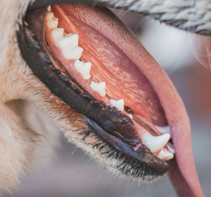 43 Times Medical Professionals Couldn’t Keep A Straight Face With A Funny Patient