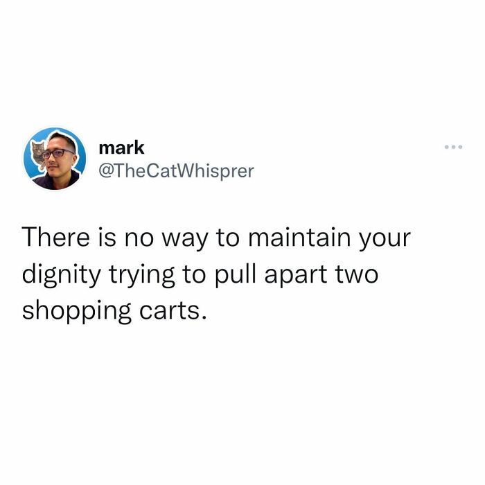 Tweet from mark humorously describing the struggle of maintaining dignity while managing everyday parenting challenges.