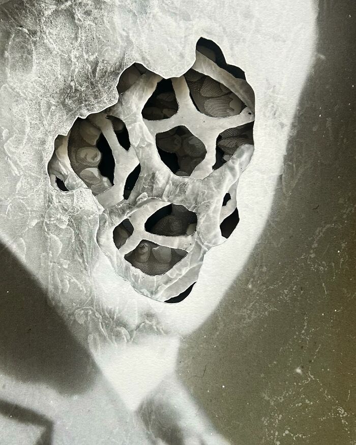 Black and white intricate collage of a man with a hollow, web-like structure where his face should be, creating a surreal effect.