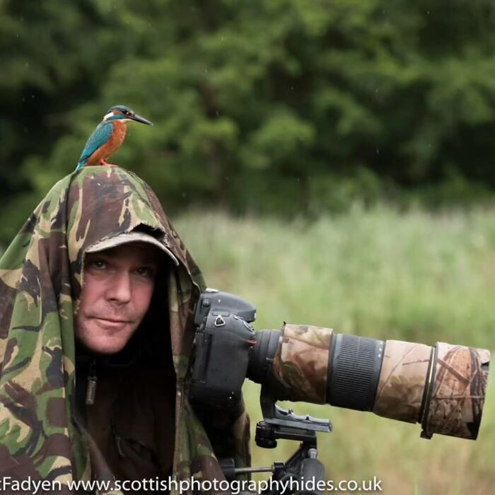 Photographer with camouflaged camera and kingfisher perched on his hood, capturing wildlife photography in natural setting.