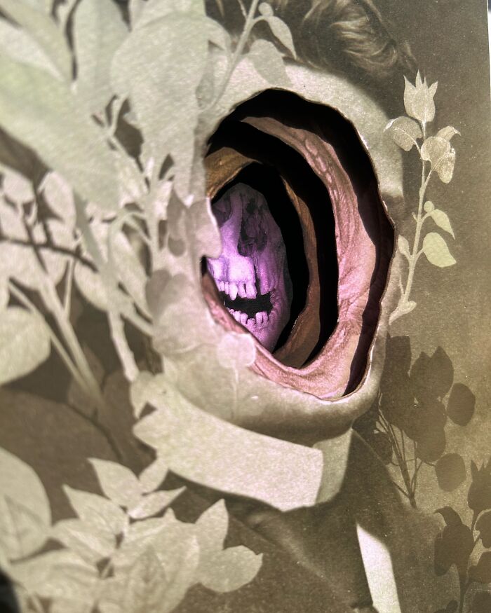 Surreal intricate collage of a vintage portrait with a hollow opening revealing a glowing purple skull surrounded by leaves and plants.