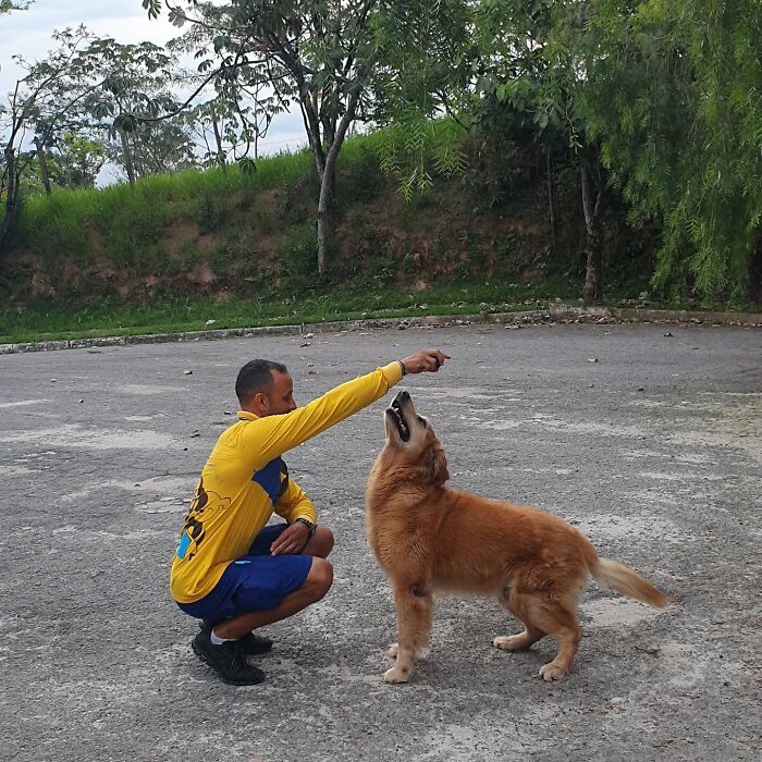 Mailman smiling and playing with a friendly golden retriever, showing the bond between mail carrier and dogs on route.