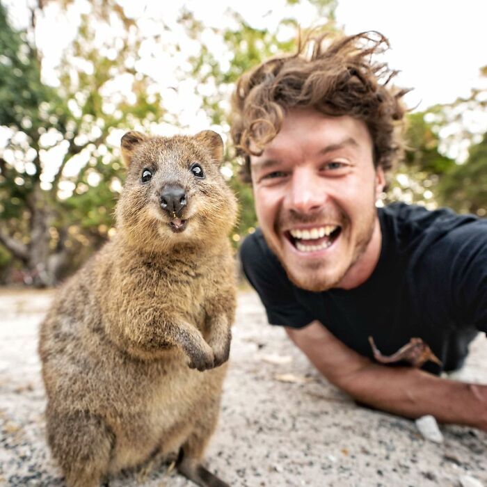 Quokka posing next to a smiling man outdoors, showcasing one of the animals who can take a better selfie than you.