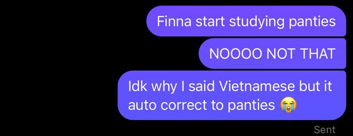 Text message conversation showing a funny autocorrect fail where Vietnamese was changed to panties.
