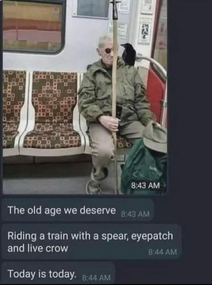 Elderly man on a train holding a spear, wearing an eyepatch, with a live crow perched on his shoulder in a pics that go hard moment.