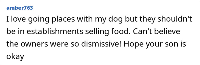 User comment expressing concern over negligent dog owners causing a bite incident with a child and a mom's regret. User comment expressing concern over negligent dog owners causing a bite incident with a child and a mom's regret.