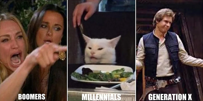 Meme showing confused millennials cat between arguing boomers woman and confident Generation X man referencing generation name chaos. Meme showing confused millennials cat between arguing boomers woman and confident Generation X man referencing generation name chaos.