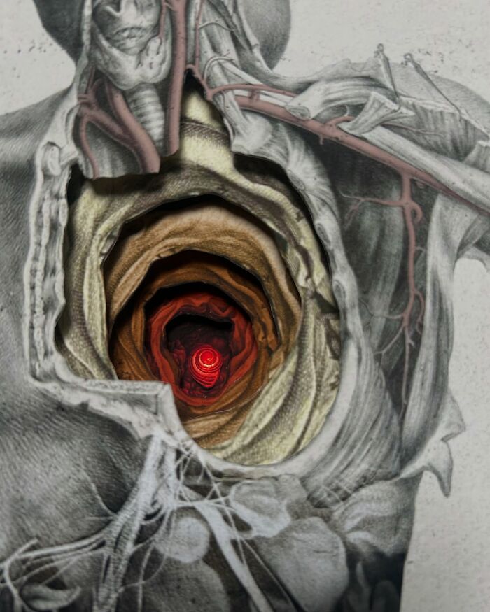 Intricate collage of a human torso with layered textures and a glowing red spiral at the center of the chest cavity.