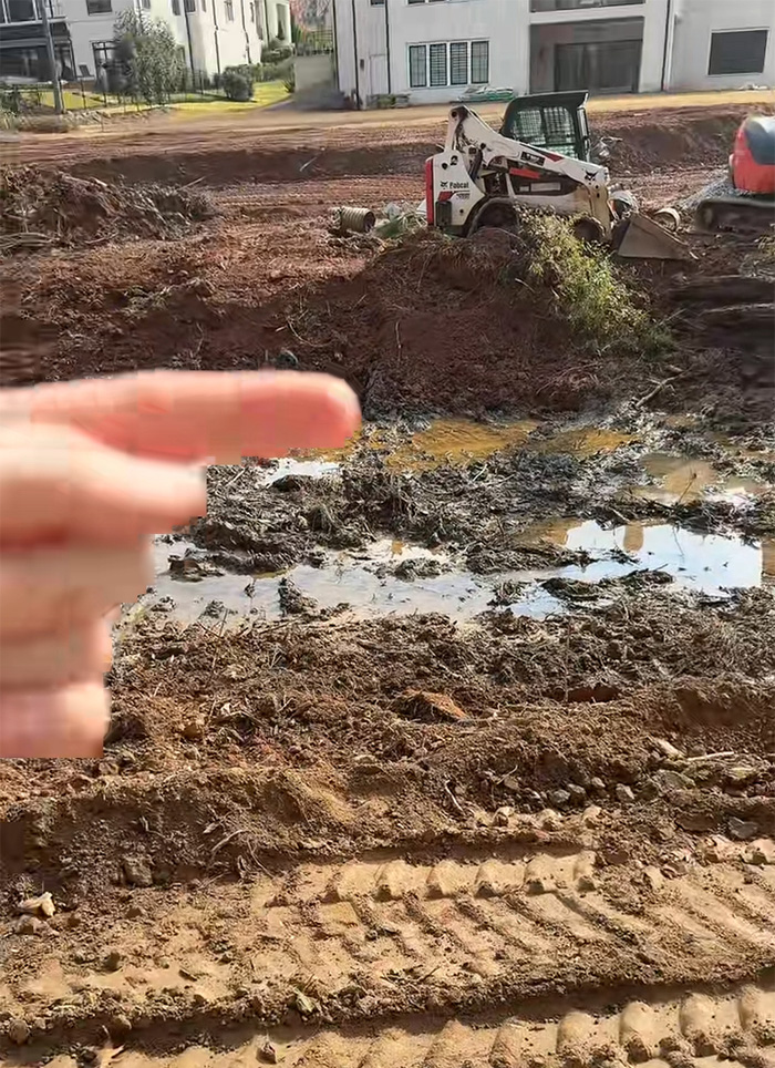 Woman pointing at muddy cleared land where bulldozers removed all trees, highlighting tree law dispute with neighbor. Woman pointing at muddy cleared land where bulldozers removed all trees, highlighting tree law dispute with neighbor.