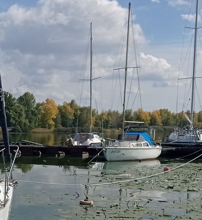 Painting Through Blackouts: How I Find Light On Autumn Plenairs In My Hometown Dnipro (9 Pics)
