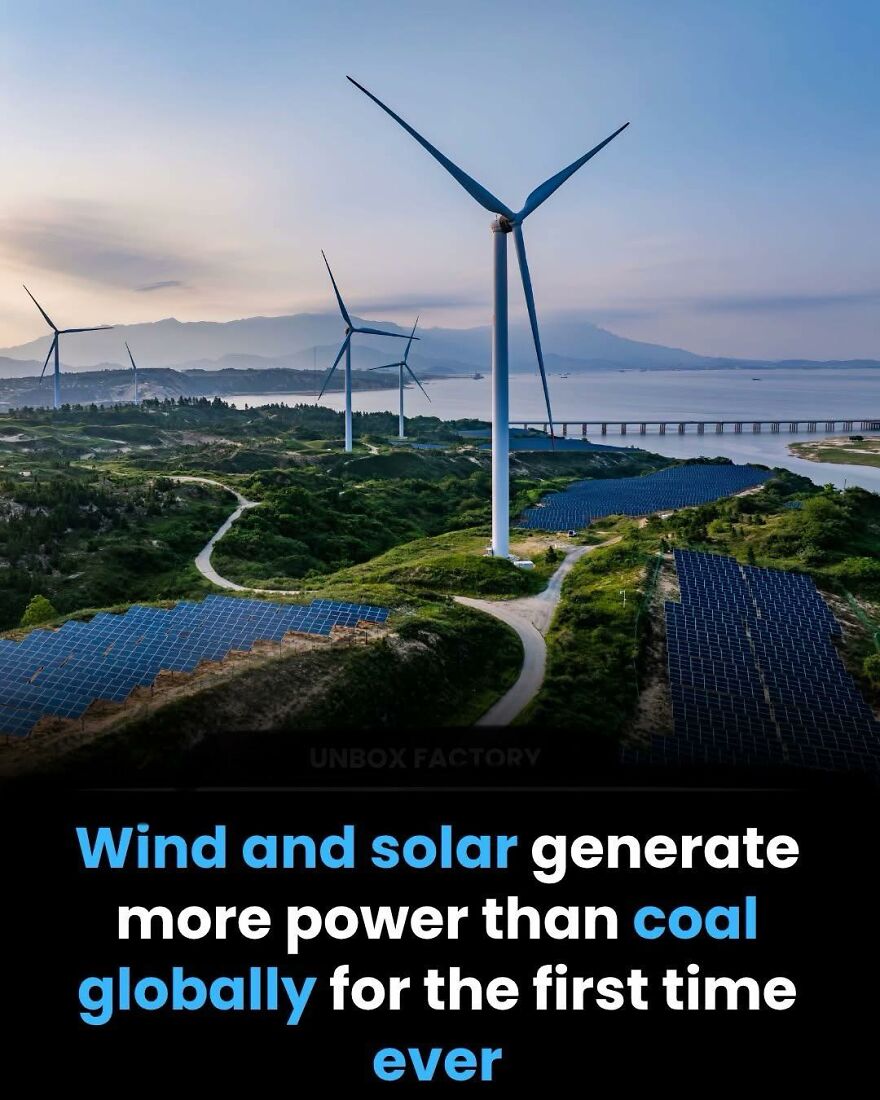 Wind and solar power generation surpasses coal globally, highlighting key facts about renewable energy trends.