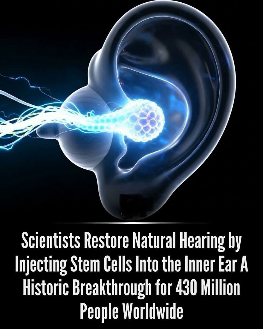 Digital illustration of stem cells being injected into the inner ear, showcasing a breakthrough in hearing restoration facts.