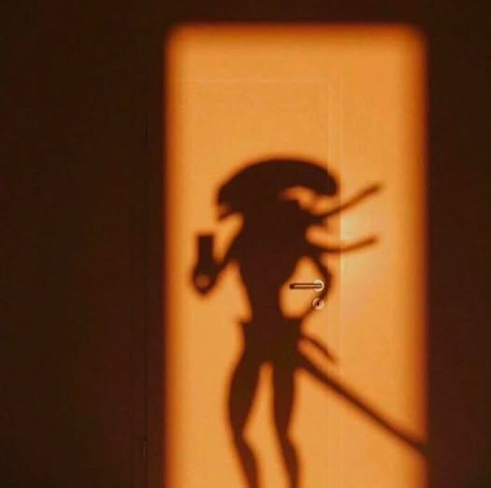 Shadow of a figure with multiple arms holding objects, projected on an orange wall, showcasing unique pics that go hard.