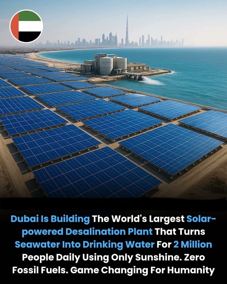 Solar-powered desalination plant in Dubai turning seawater into drinking water, a fascinating fact for learning new things.