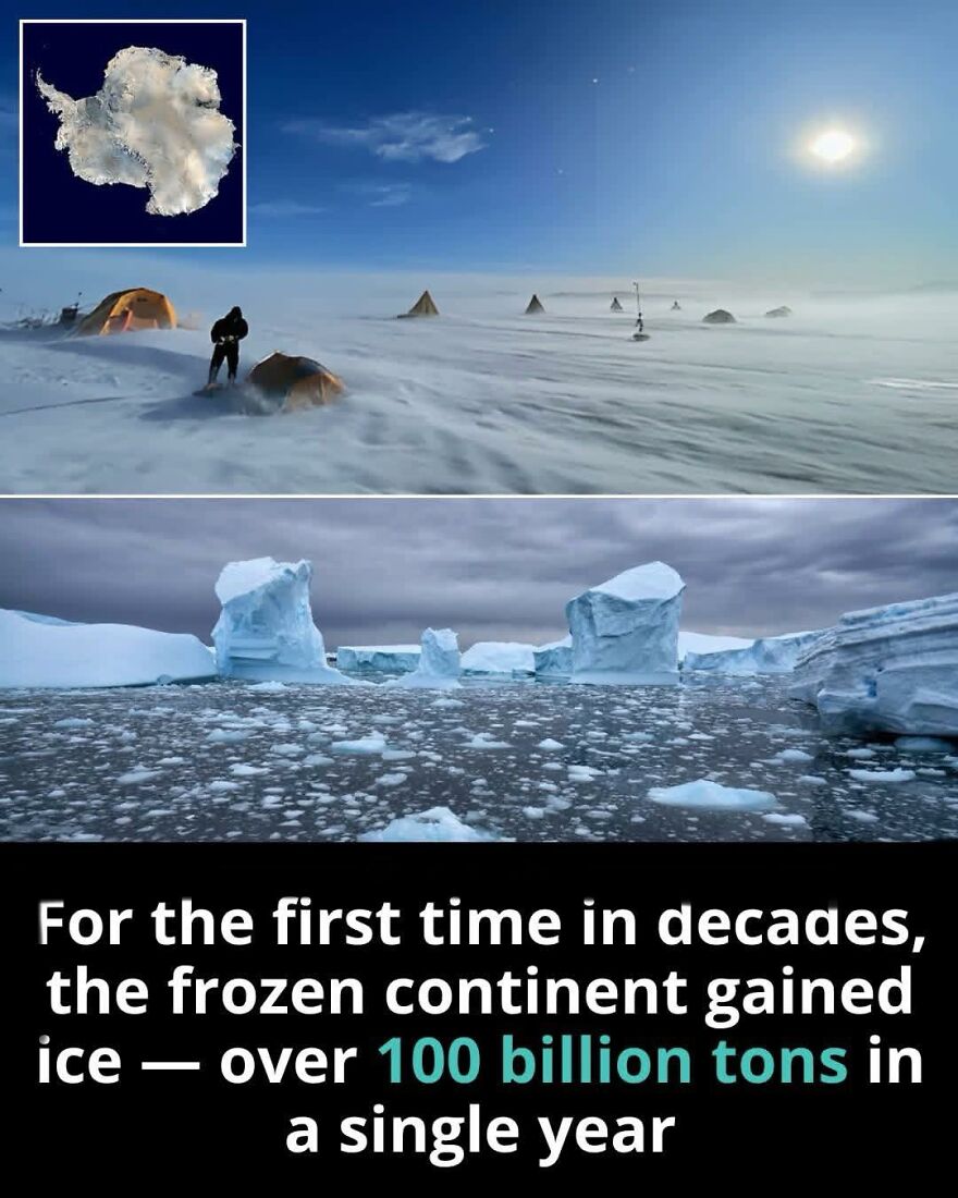 Antarctica gaining over 100 billion tons of ice in a year, a fascinating fact for those who enjoy learning new things.