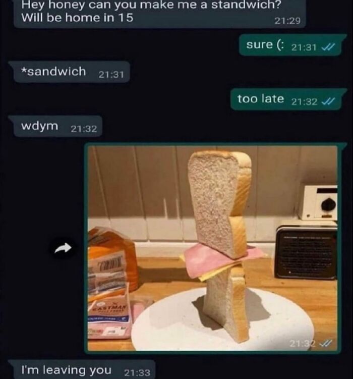 Text message conversation about making a sandwich with a funny sandwich built vertically shown in the image, random funny memes.
