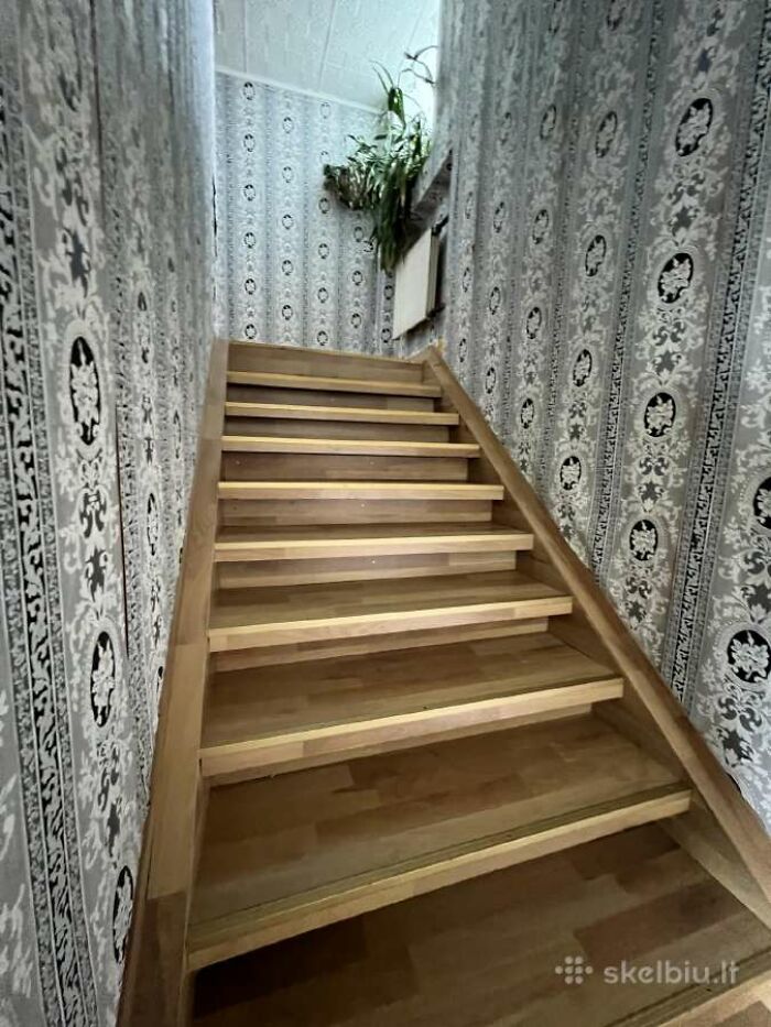 Wooden staircase with patterned wallpaper and a potted plant, part of wild real estate listings photos.