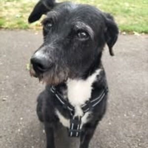 alexregruto93 avatar