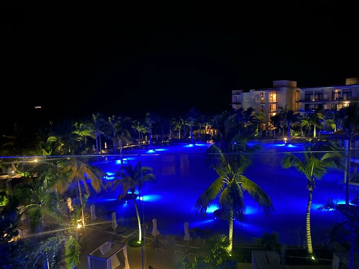 Night view of a resort pool illuminated with blue lights surrounded by palm trees, restoring faith in humanity moments.