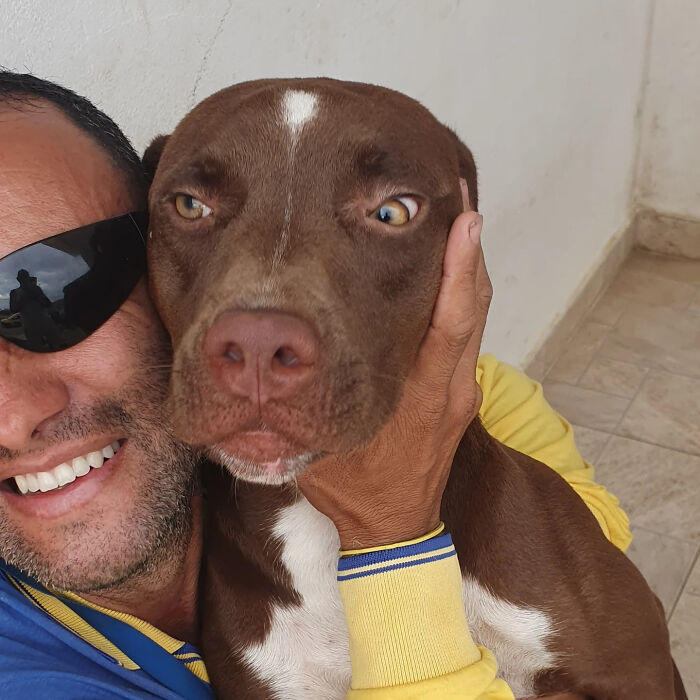 Mailman wearing sunglasses smiling and hugging a brown dog, showing the bond of best friends on his dog route.