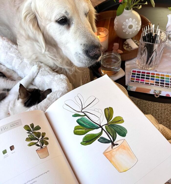 Golden retriever and cat resting near watercolor painting supplies and a sketchbook with botanical hobby artwork.
