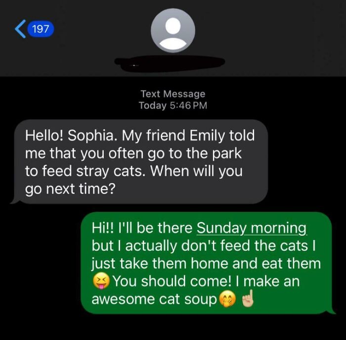 Screenshot of a funny wrong number text exchange about feeding stray cats and making cat soup.