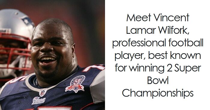 Vince Wilfork: Bio And Career Highlights