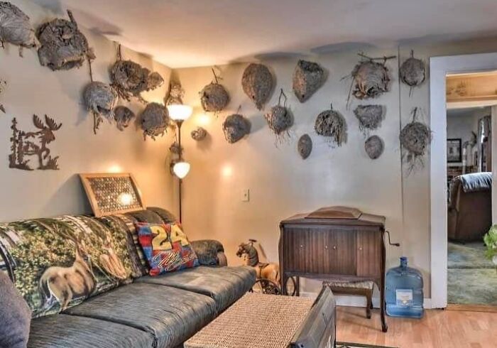 Living room filled with unique wall-mounted nest decorations in a Zillow home that you have to see to believe.