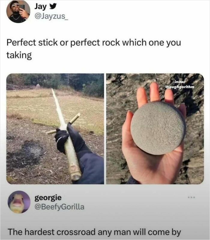 Meme showing hand holding a stick and a rock, illustrating a funny choice with laughgorithm memes for a laugh today.