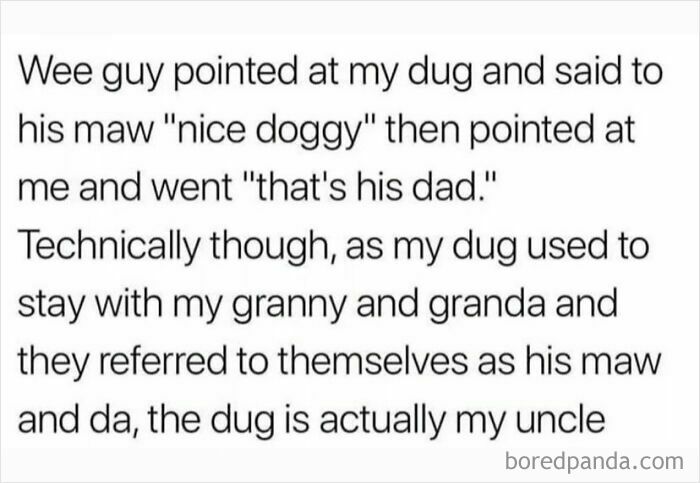 Funny Scottish post about a wee guy, a dug, and family terms showcasing hilarious and unhinged Scottish humor online.