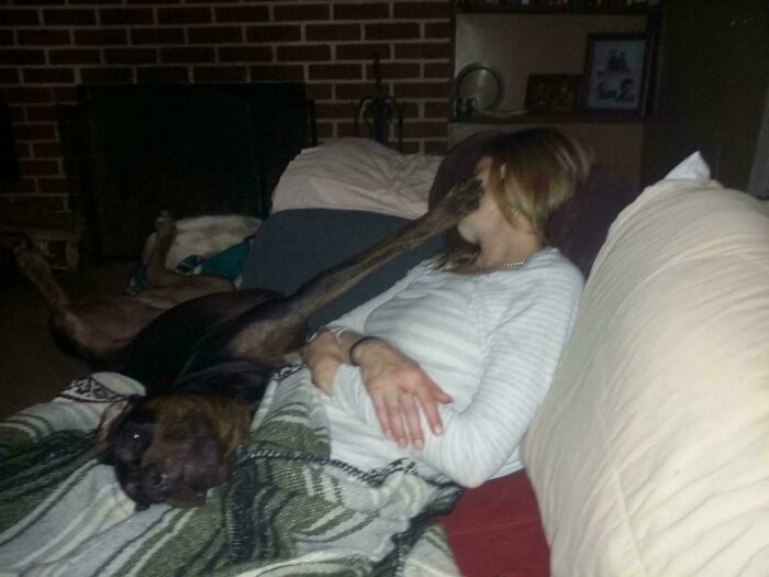 Large dog sprawled on couch with owner, paw covering her face, showing lack of personal space with pets.