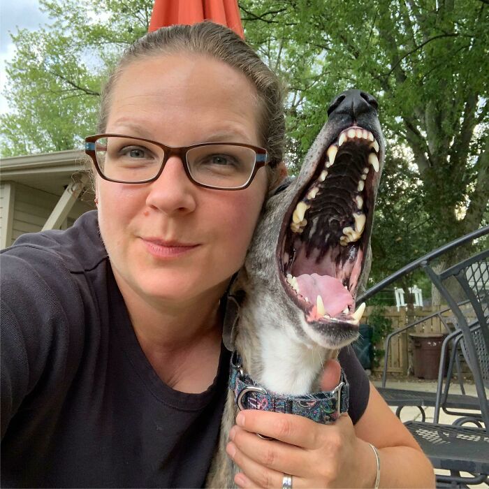 Woman taking a selfie outdoors with a dog yawning widely, showcasing animals who can take better selfies than humans.