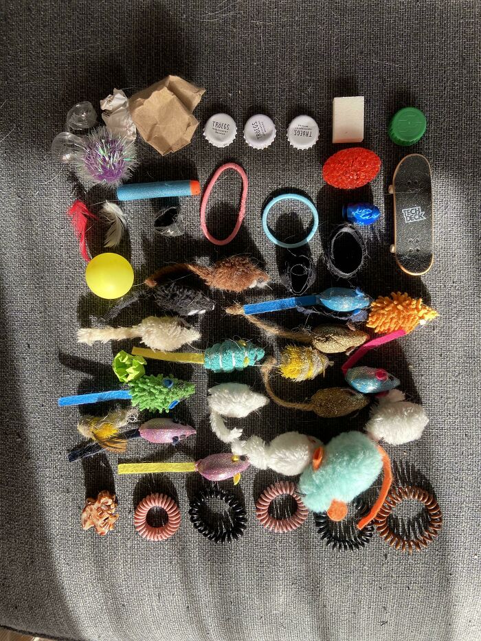 Neatly arranged colorful small objects and toys on a textured surface showcasing all things knolled organization.