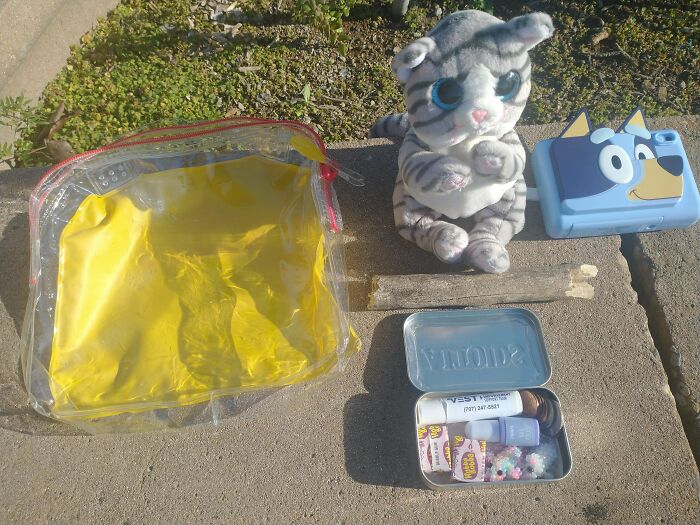 Clear bag, stuffed cat toy, blue dog container, wooden sticks, and small organized items on concrete curb outdoors.