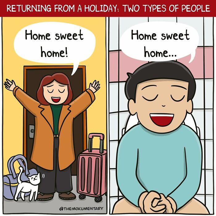 Comic illustrating two types of people returning from a holiday, capturing everyday life randomness with humor and relatable scenes.
