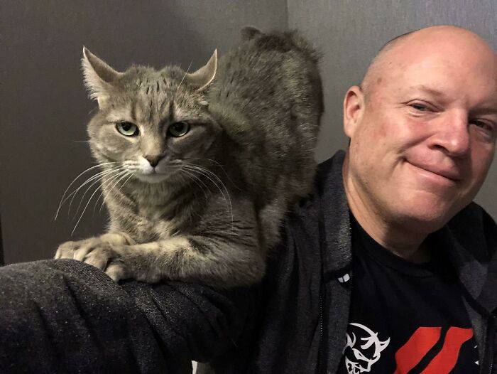 Man smiling with a gray cat perched on his arm, showcasing animals who can take a better selfie than humans.