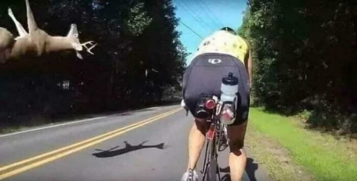 A frozen frame shows a cyclist unaware of a deer leaping across the road moments before impact.