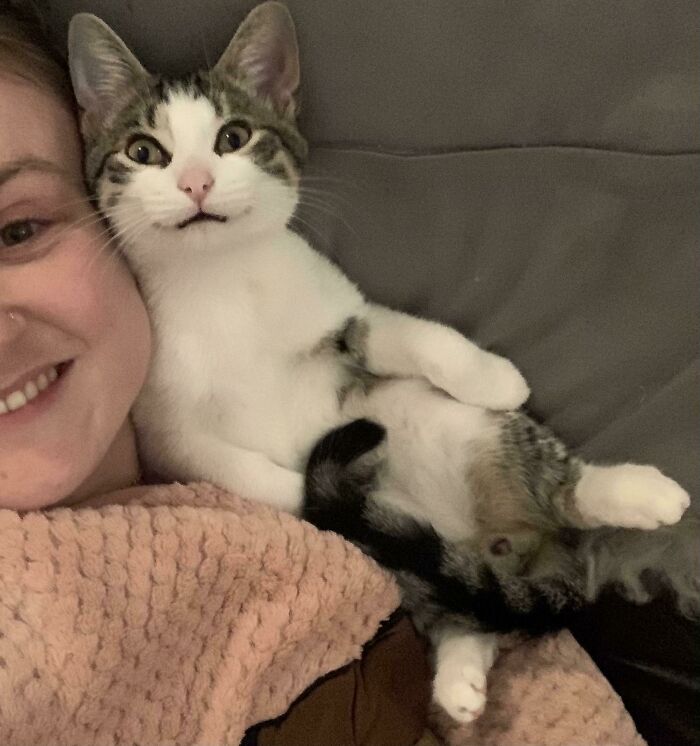 Cat lying comfortably on a person’s chest, posing for one of the best animal selfies captured indoors.