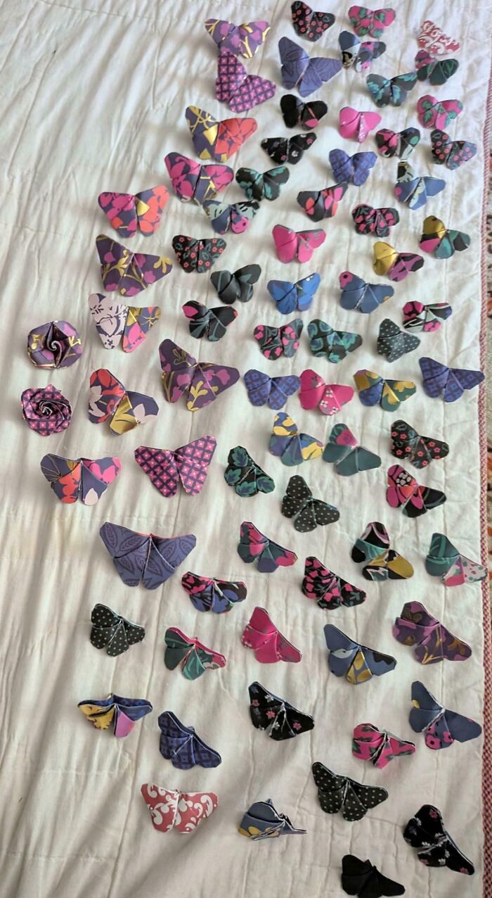 Colorful paper butterflies neatly arranged on a white surface satisfying the need for order and knolled display.