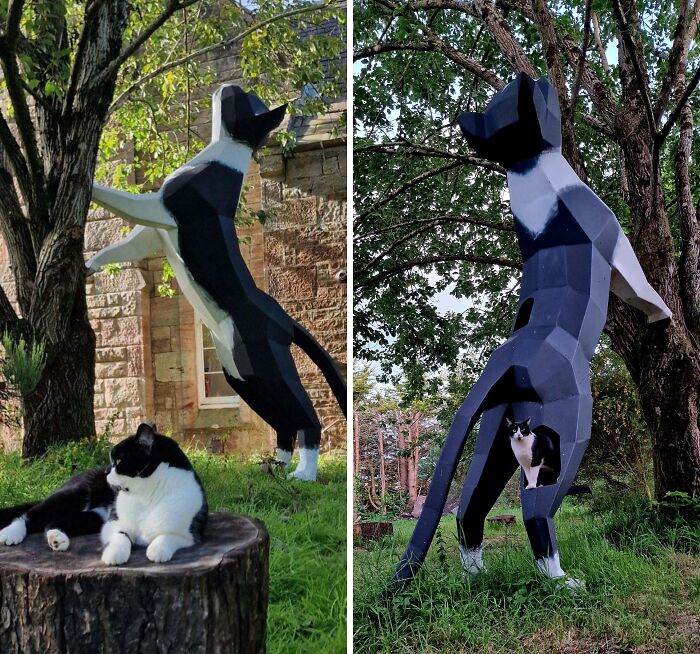 Black and white cat next to and inside a large creative geometric cat sculpture in an outdoor grassy setting.