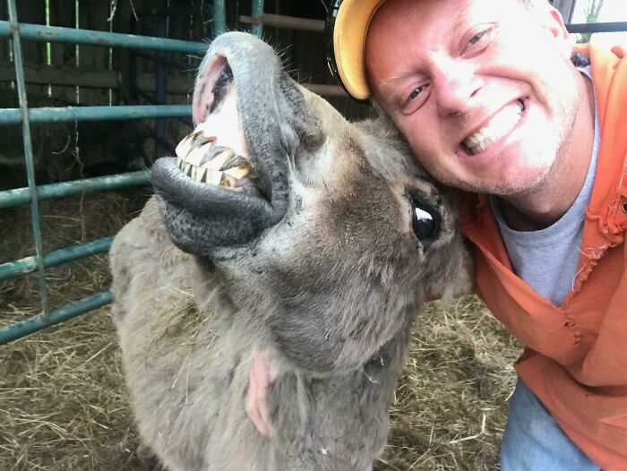 Man and donkey taking a funny selfie together, showcasing animals who can take a better selfie than humans.