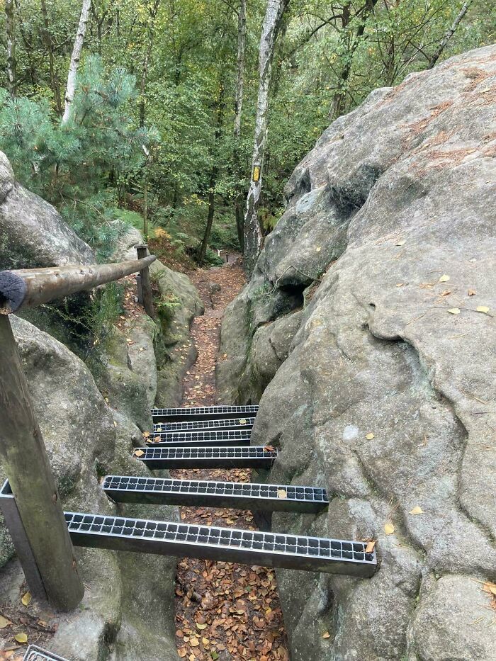 Steep narrow metal stairs between rocks on a forest trail, highlighting Airbnb insurance safety concerns.
