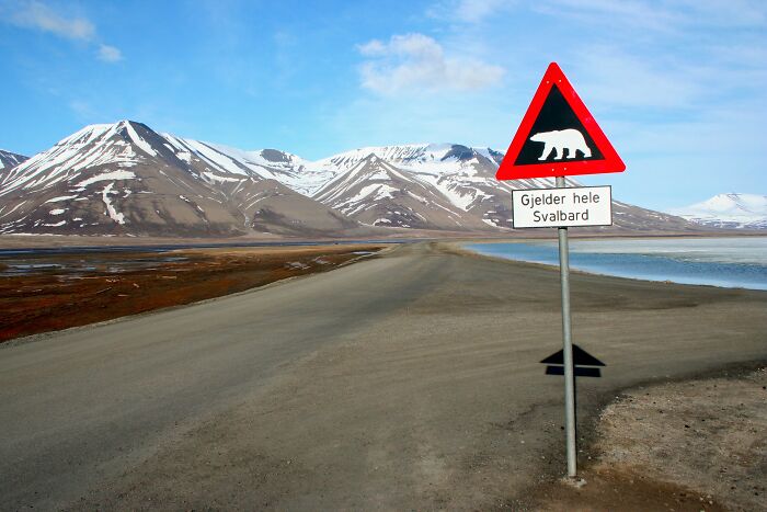 Road in snowy remote location with polar bear warning sign, illustrating mind-blowing remote locations reality.