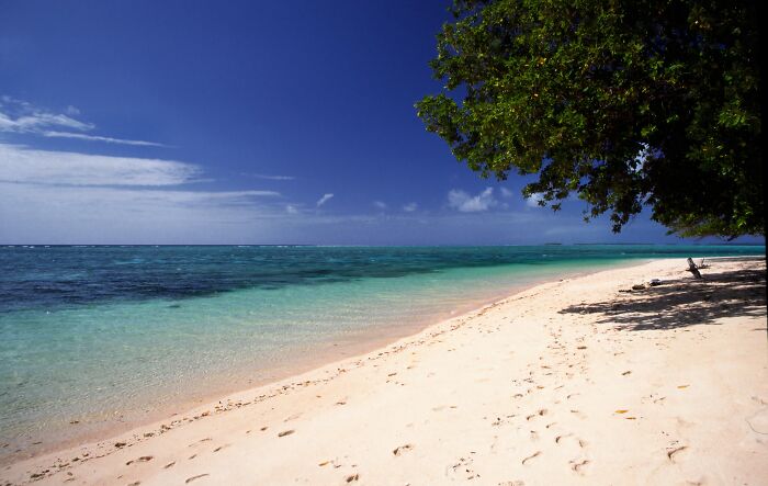 Pristine remote beach with turquoise water, white sand, clear blue sky, and lush green tree on the shore.