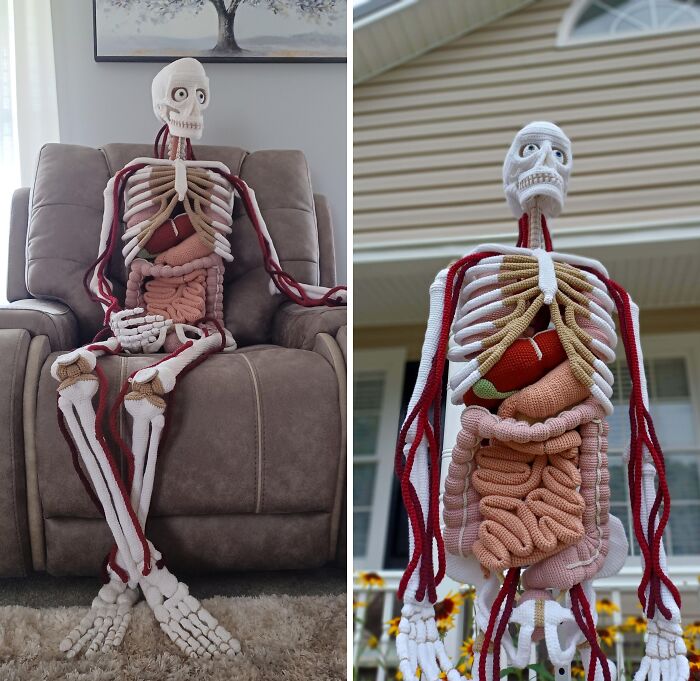 Knitted skeleton model with detailed organs and muscles, showcasing creative people and their cool projects outdoors and indoors.