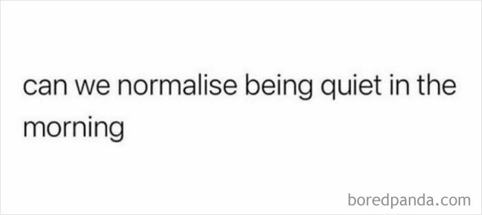 Text meme saying can we normalise being quiet in the morning, part of funny memes to scroll collection.