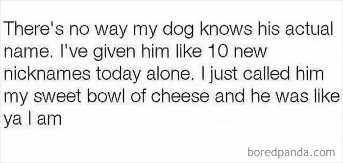 Text meme about dogs with multiple nicknames, shared as part of funny memes to scroll instead of doing anything else.