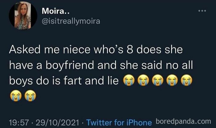 Tweet showing a funny meme about a niece saying boys only fart and lie, perfect for scrolling funny memes online.
