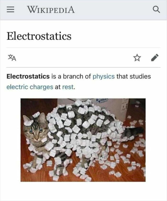Cat covered in packing peanuts with a Wikipedia electrostatics definition, a hilarious-educational-memes example.