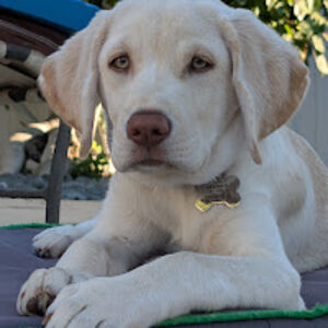 jeffedwards_1 avatar